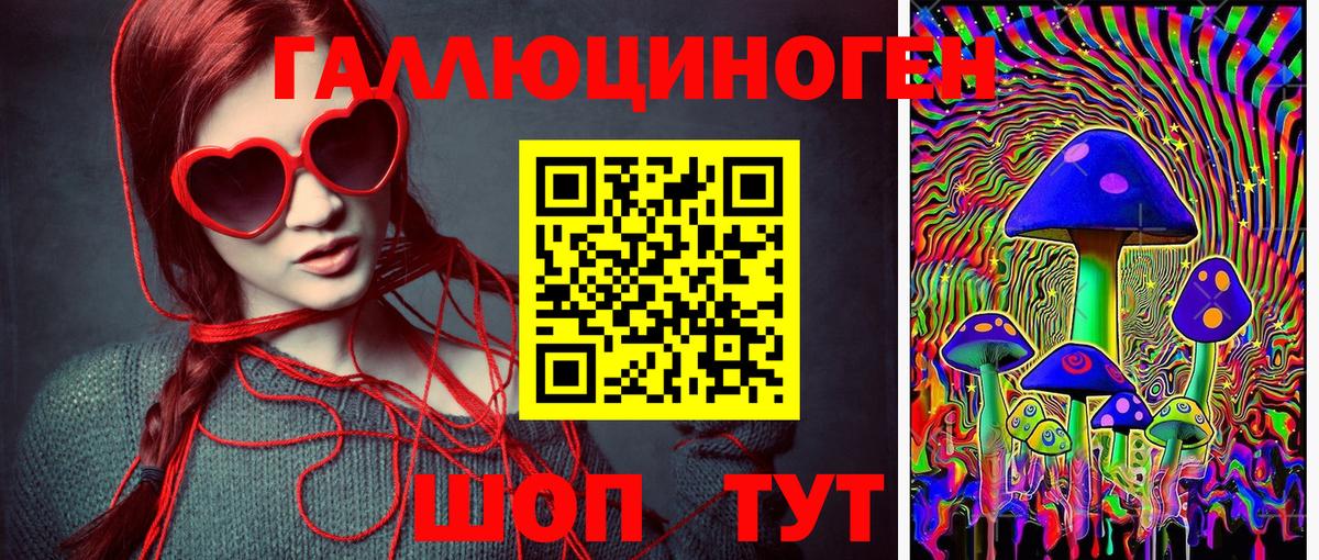 Сухой Лог  Псилоцибиновые грибы мухоморы  Вход с VPN 